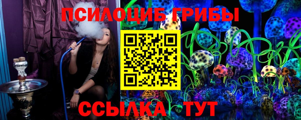 Урюпинск  Галлюциногенные грибы Cubensis  Вход с VPN 